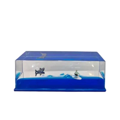 کشتی معلق طرح دزدان دریایی1