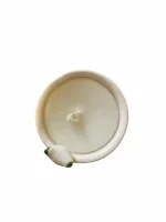 شمع سفالی پرنده12