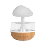 شبیه ساز باران12345